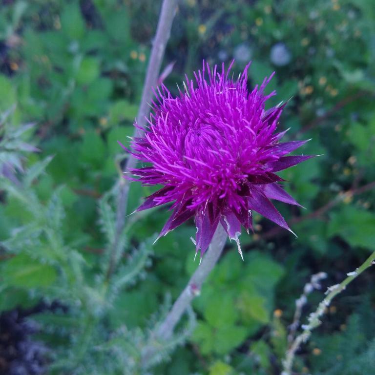 Una Morada en la Montaña - Casa Vacacional de 3 dormitorios - 39