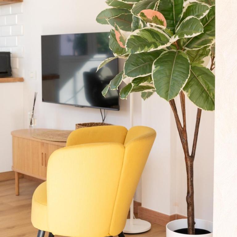 Casa Anik un apartamento tranquilo y bien ubicado en La Laguna -Tu refugio en Tenerife - Apartamento de 2 dormitorios - 31