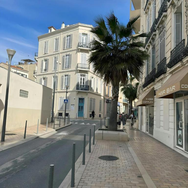 Adorable studio cannes center - Appartement 1 Chambre - 2