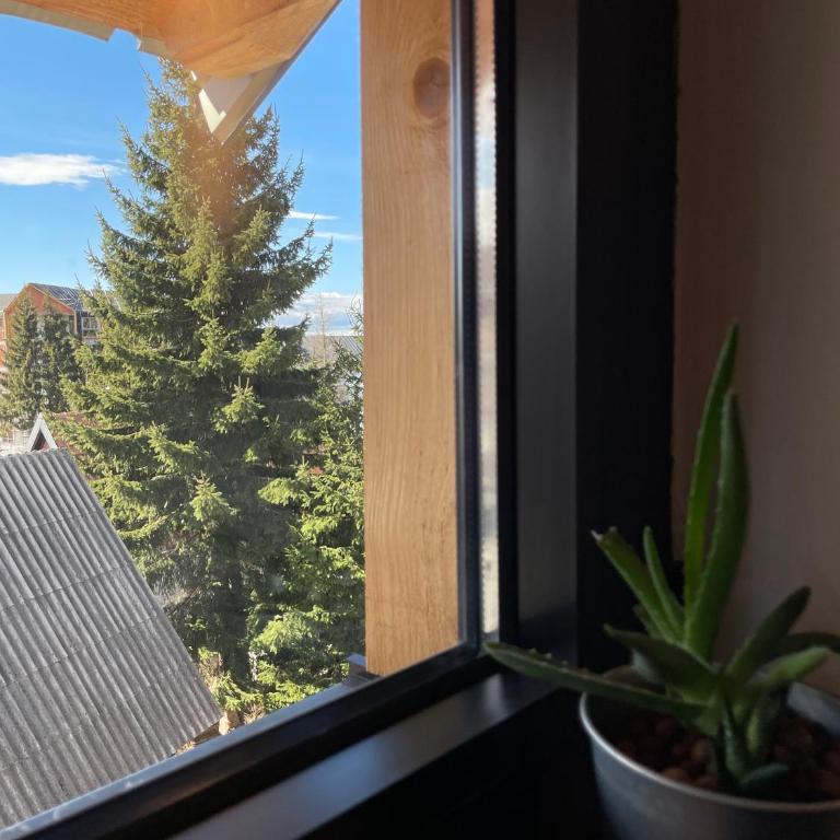 Montana - Quadruple Room - 18