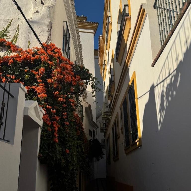 Casa Bonita - Two-Bedroom Apartment - 41