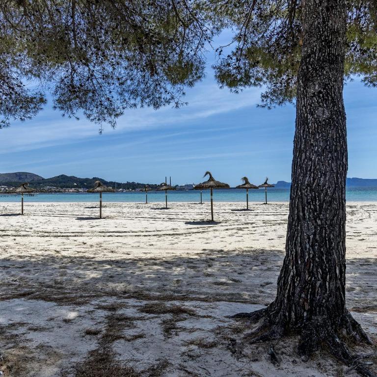 apartment just 150 m from the Alcudia beach - Apartamento de 3 dormitorios - 40