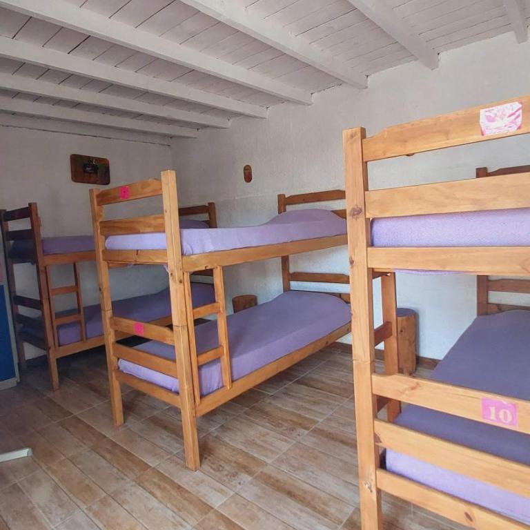 Las Palmas Beach Hostel - Bed in 6-Bed Female Dormitory Room - 1