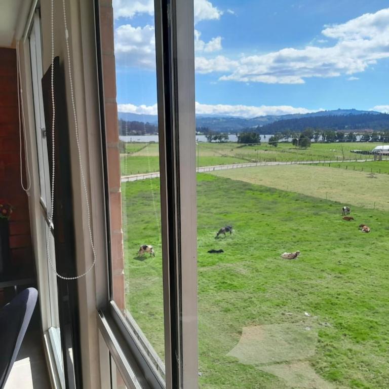 Apartamento con vista al lago - Apartamento de 3 dormitorios - 21