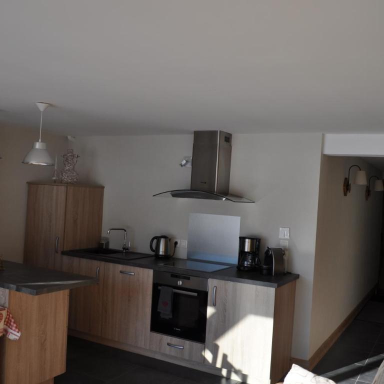 Le Chalet Du Pic SPA privé & Fitness - Appartement avec Terrasse - 55