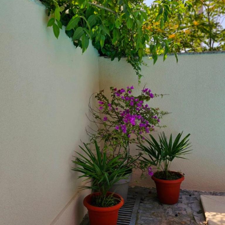 Lovely house with swimming pool - Three-Bedroom Apartment - 7