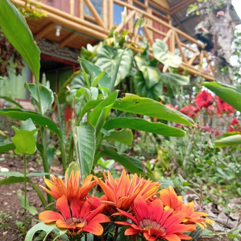 Eco Hotel Manu Viajeros - Double Room with Private Bathroom - 13