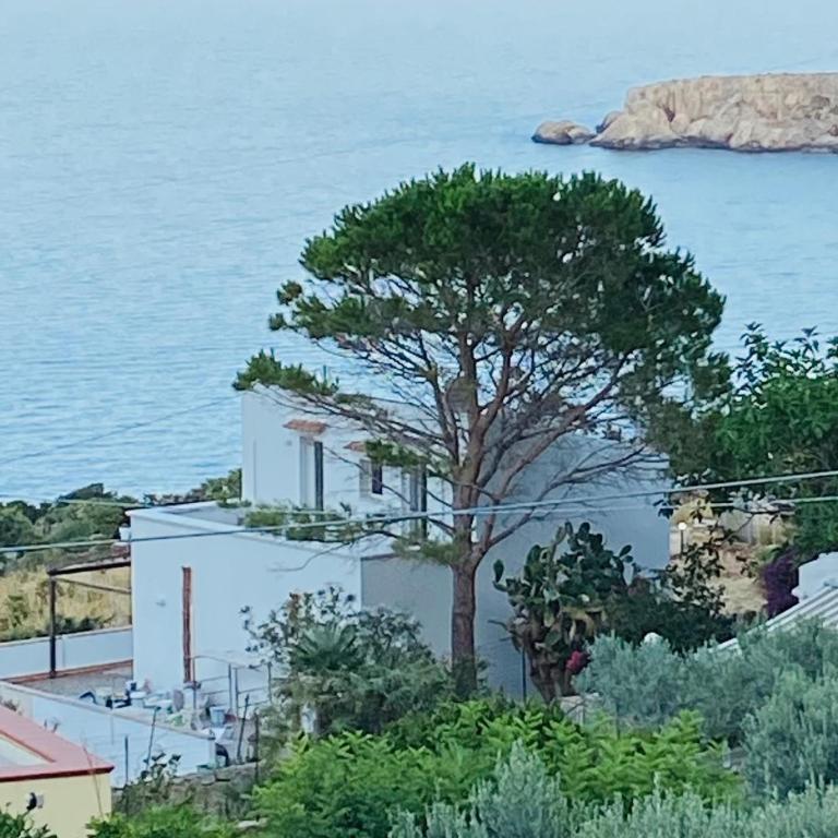 Villa Costanza - Villa - 12