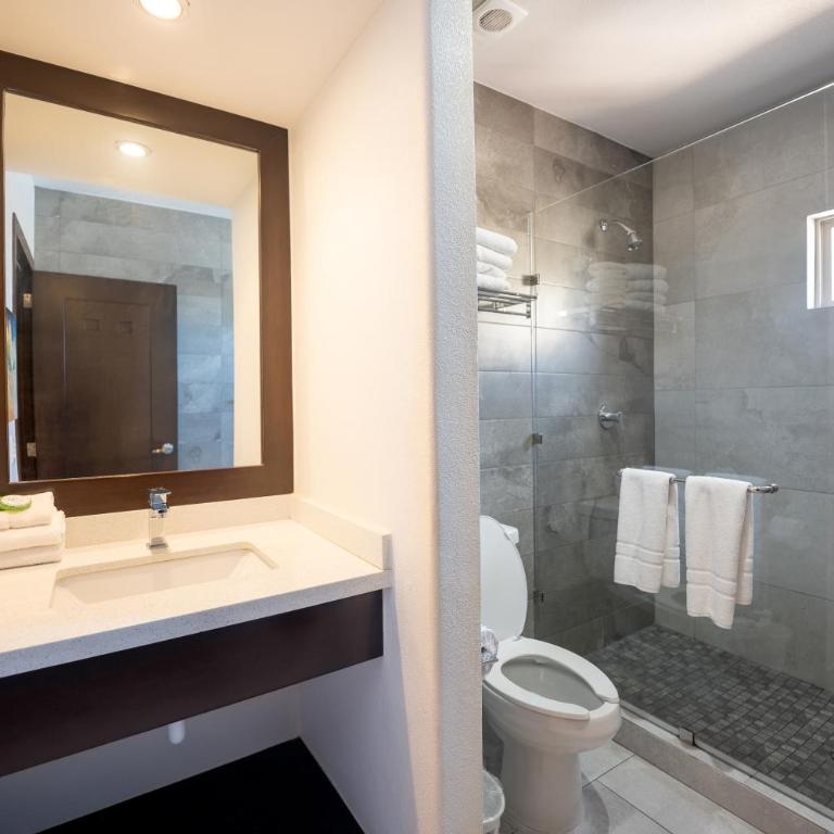 Laguna Shores Resort - Deluxe Apartment - 2