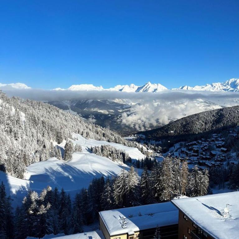 Résidence Everest - Appartement lumineux · vue panoramique · Wifi MAE-0144 - Appartamento - 9