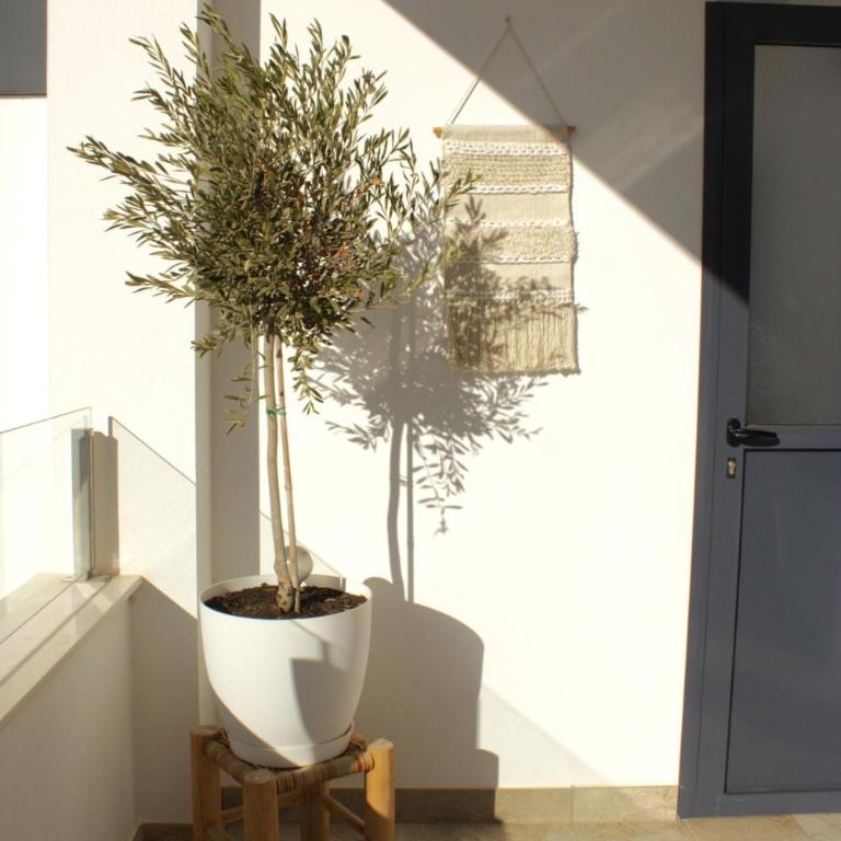 Casa di Nova - Coastal comfort near the salt lakes - Apartamento de 1 dormitorio - 20