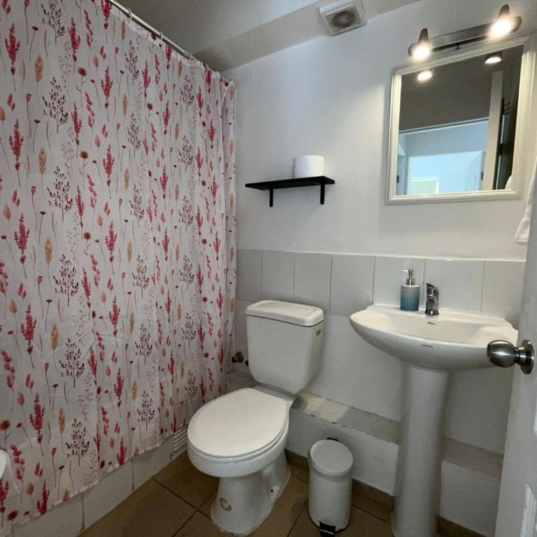 Departamento dos dormitorios - Apartamento de 2 dormitorios - 13