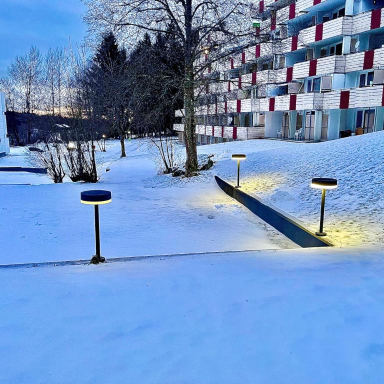 Bayerische Sonne - Appartement 1 Chambre - 31