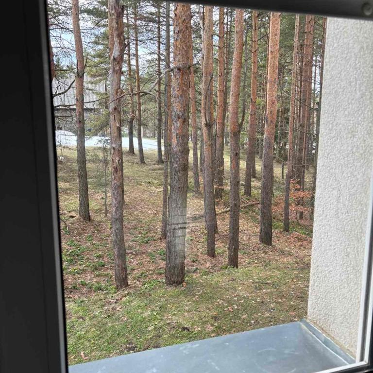 Apartman Šumski San - Apartman sa 1 Spavaćom Sobom - 7