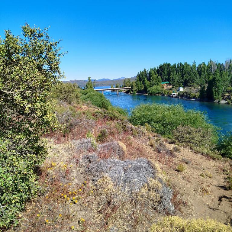 Flores del Limay cabañas - Cabaña con vistas al jardín - 9