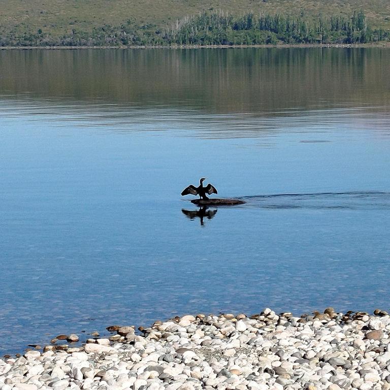 Flores del Limay cabañas - Cabaña con vistas al jardín - 15