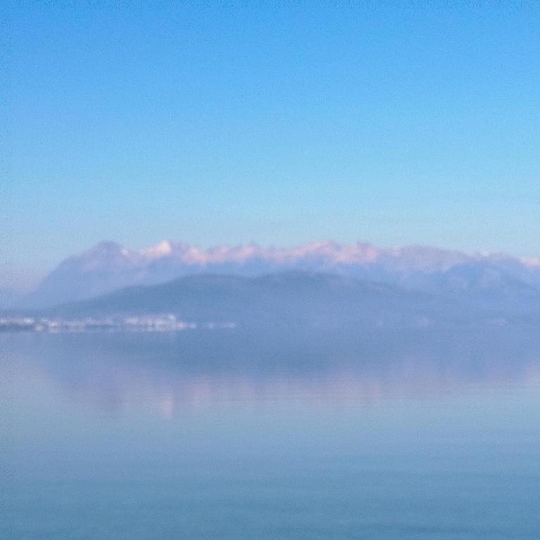 Flores del Limay cabañas - Cabaña con vistas al jardín - 20
