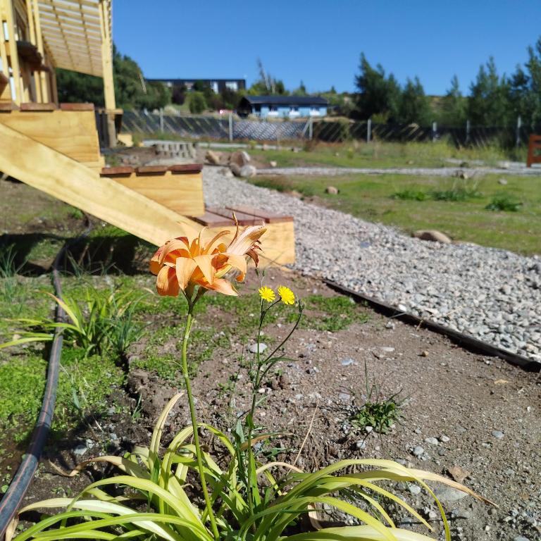 Flores del Limay cabañas - Cabaña con vistas al jardín - 23