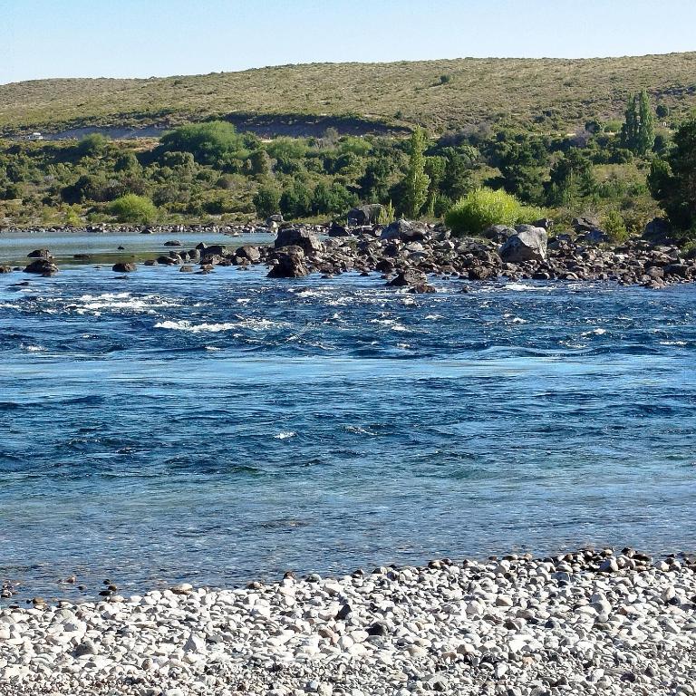 Flores del Limay cabañas - Cabaña con vistas al jardín - 41
