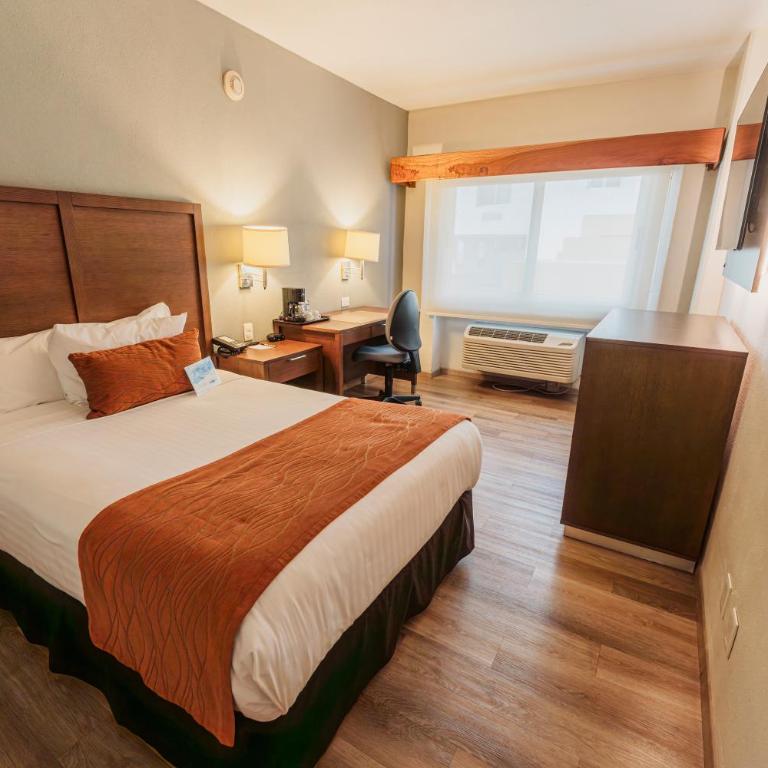 Comfort Inn Monterrey Valle - Standard Double Room - Non-Smoking - 6