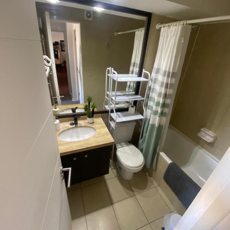 Bello Dpto central a pasos de la Quinta Vergara, Mall, Plaza de Viña, con estacionamiento, ideal para recorrer la ciudad caminando relajado - Two-Bedroom Apartment - 20