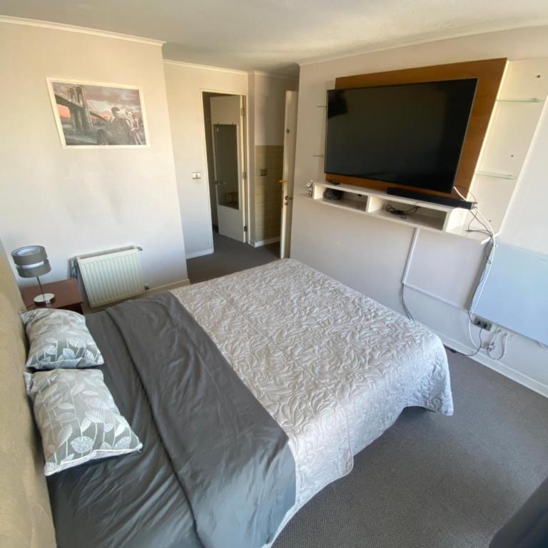 Bello Dpto central a pasos de la Quinta Vergara, Mall, Plaza de Viña, con estacionamiento, ideal para recorrer la ciudad caminando relajado - Two-Bedroom Apartment - 3