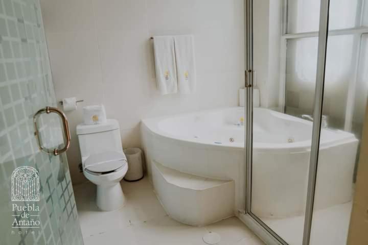 Hotel Puebla de Antaño - Suite con cama extragrande - 13