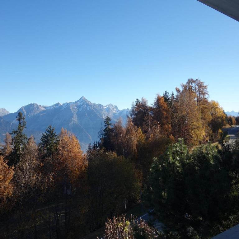 Marvelous apartment with balcony - Apartment mit 2 Schlafzimmern - 17