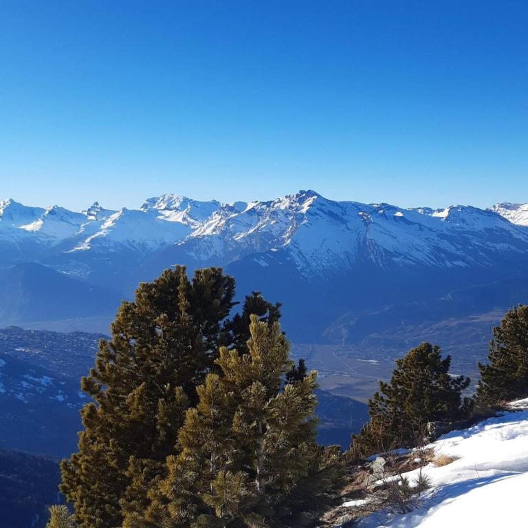 Apartment Veysonnaz near Ski Lift & Shuttle - Appartement 3 Chambres - 16