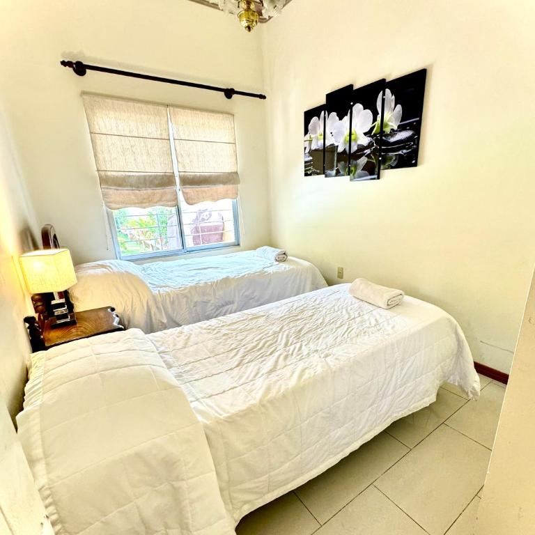 Apartamento, casita con amplio jardin - Apartamento de 2 dormitorios - 19