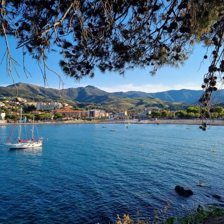 Appart Studio cabine mezzanine 5 couchages BANYULS SUR MER BN060-002 - Appartement 1 Chambre - Vue sur Ville - 20