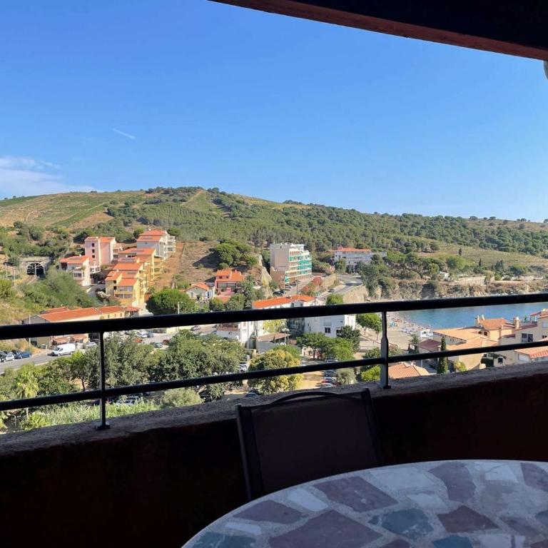 Appart 3 pièces 6 couchages BANYULS SUR MER BN330-045 - Two-Bedroom Apartment with Terrace - 2