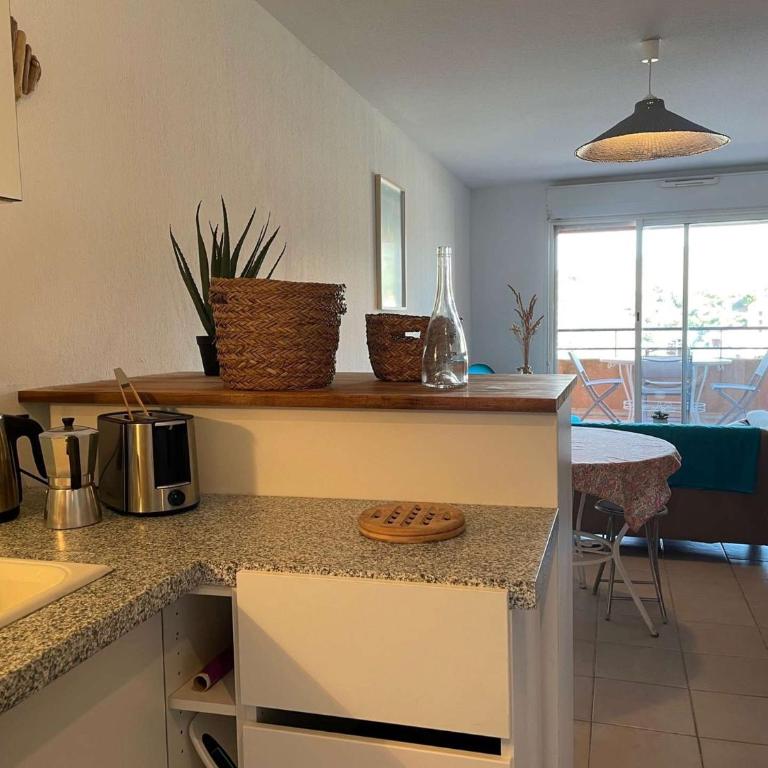 Appart 3 pièces 6 couchages BANYULS SUR MER BN330-045 - Two-Bedroom Apartment with Terrace - 6