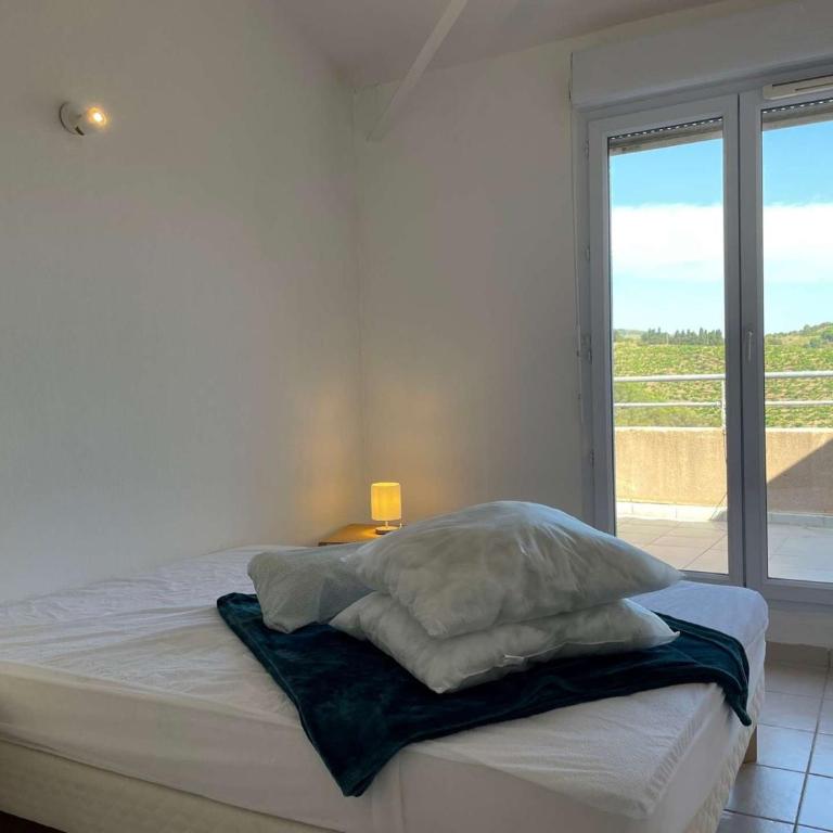 Appart 3 pièces 6 couchages BANYULS SUR MER BN330-045 - Two-Bedroom Apartment with Terrace - 13