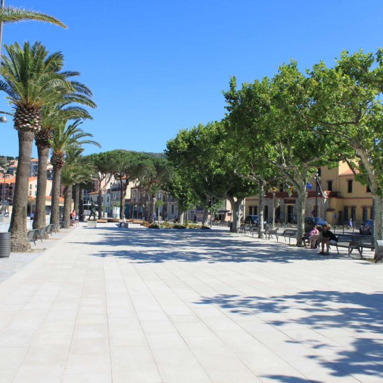 Appart 3 pièces 6 couchages BANYULS SUR MER BN330-045 - Two-Bedroom Apartment with Terrace - 21