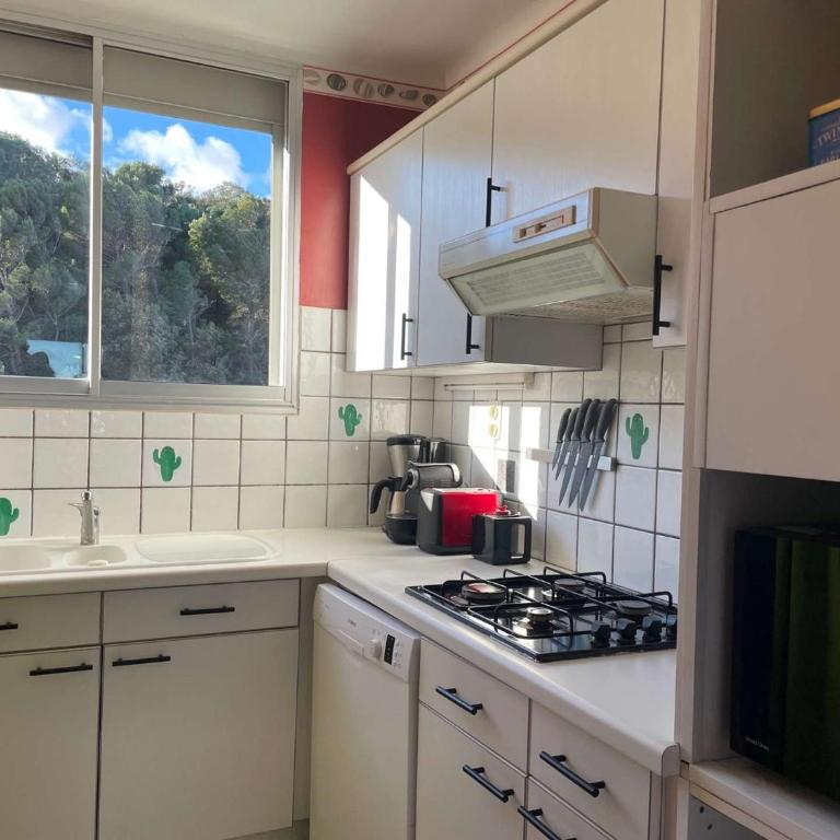 Appart 2 pièces 4 couchages BANYULS SUR MER BN100-E541 - One-Bedroom Apartment with Sea View - 10