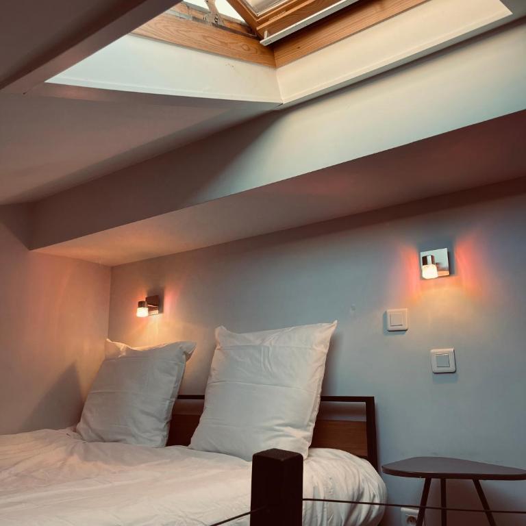 Duplex Élégant au Cœur de Nice - Appartement 1 Chambre - 4