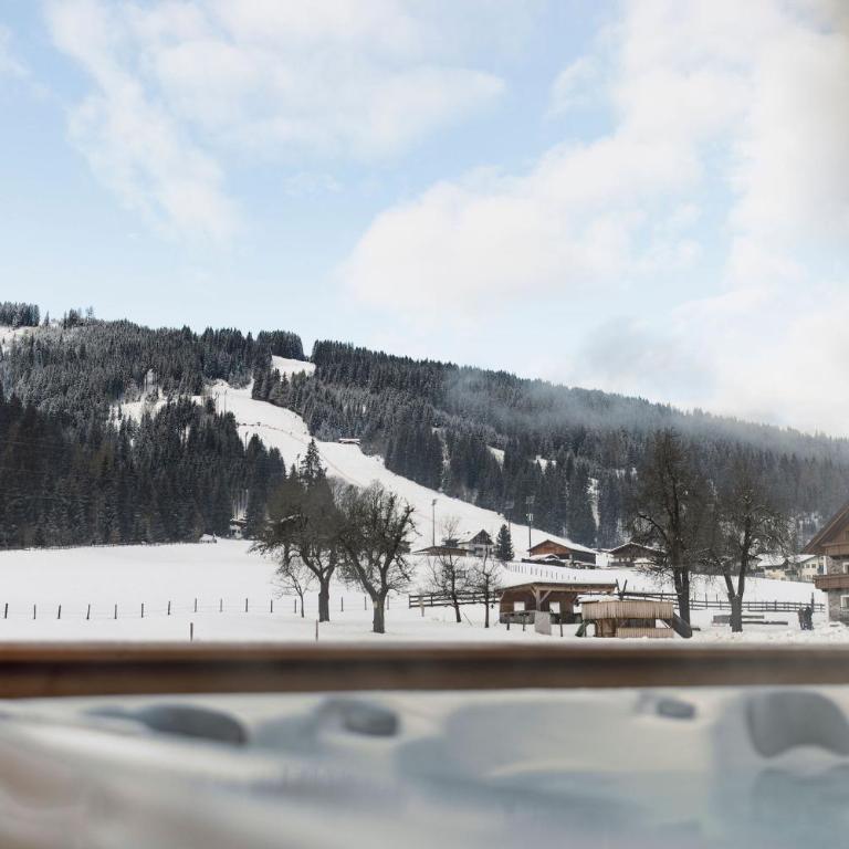 Central - Holiday Resort Flachau - Superior Chalet - 35
