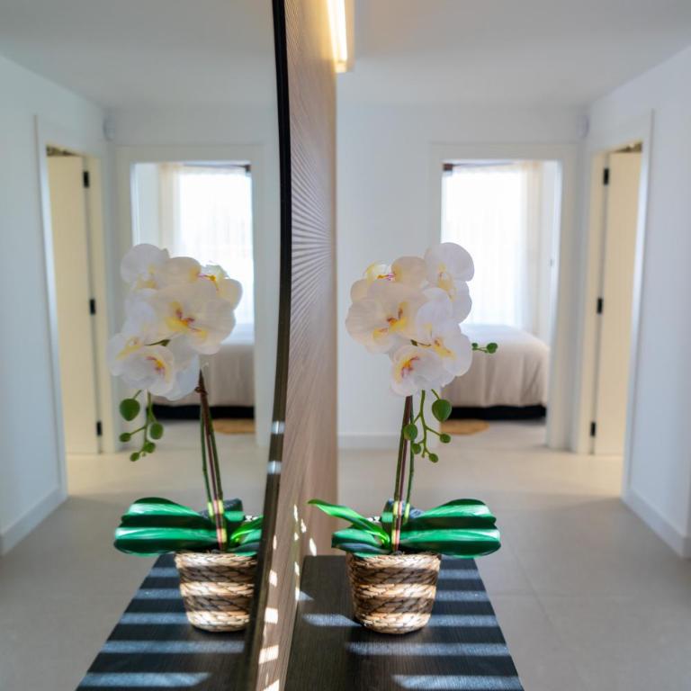 Luxury penthouse 3 bedrooms, large terrace, barbecue, near beach and Shopping Center - La Zenia - Apartamento de 3 dormitorios - 29