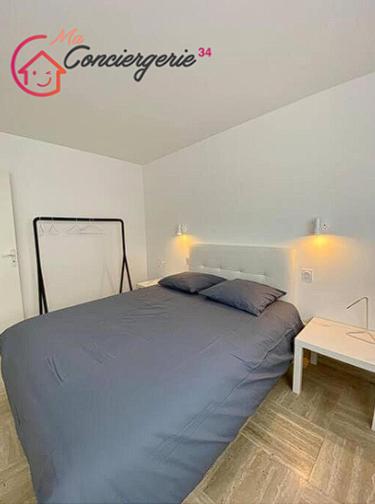 Splendide T3 haut standing avec parking privé - Maconciergerie34 - Apartment mit 2 Schlafzimmern - 9