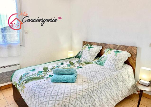 Beaux Arts T3 Duplex - Maconciergerie34 - Apartamento de 2 dormitorios - 6