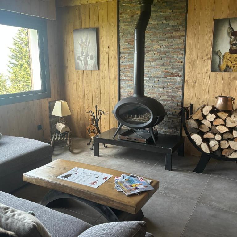 Chalet Le Bisolet - Chalet - 2