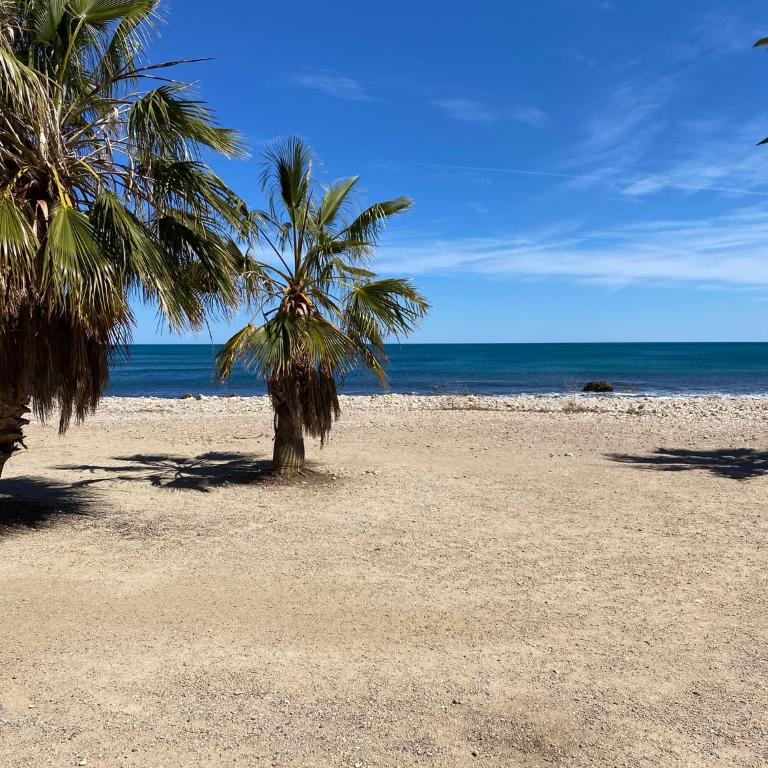 Ses Algues, casa con porche y acceso directo al mar en l'Ampolla - Delta del Ebro - SA BRISETA - Casa de 4 dormitorios - 30