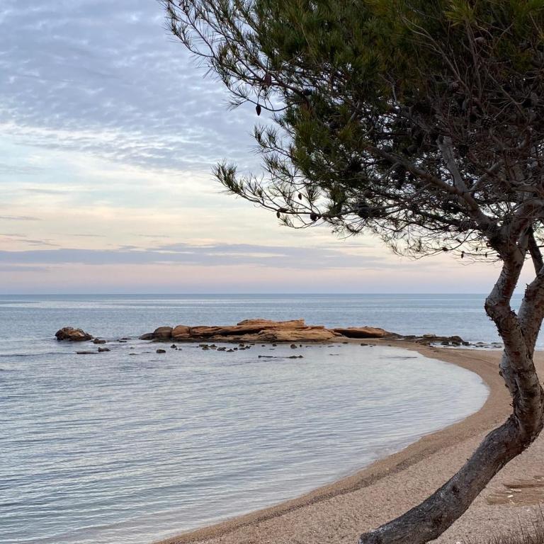 Ses Algues, casa con porche y acceso directo al mar en l'Ampolla - Delta del Ebro - SA BRISETA - Casa de 4 dormitorios - 42