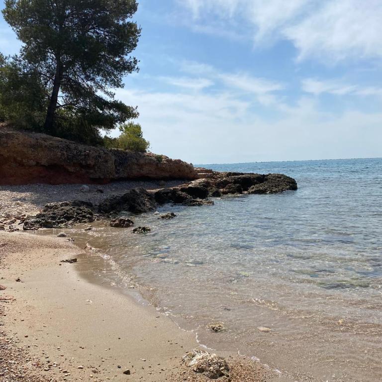 Ses Algues, casa con porche y acceso directo al mar en l'Ampolla - Delta del Ebro - SA BRISETA - Casa de 4 dormitorios - 37