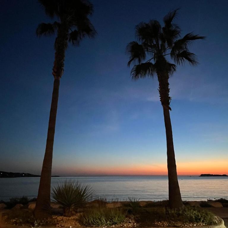 Petit Paradis à Sanary avec Vue Mer Wifi et Clim - Apartment mit 1 Schlafzimmer - 47
