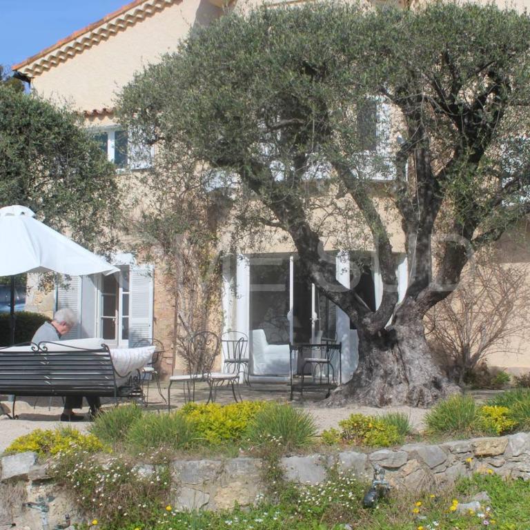 Mouans Sartoux, bastide avec magnifique parc et piscine - Maison 5 Chambres - 14