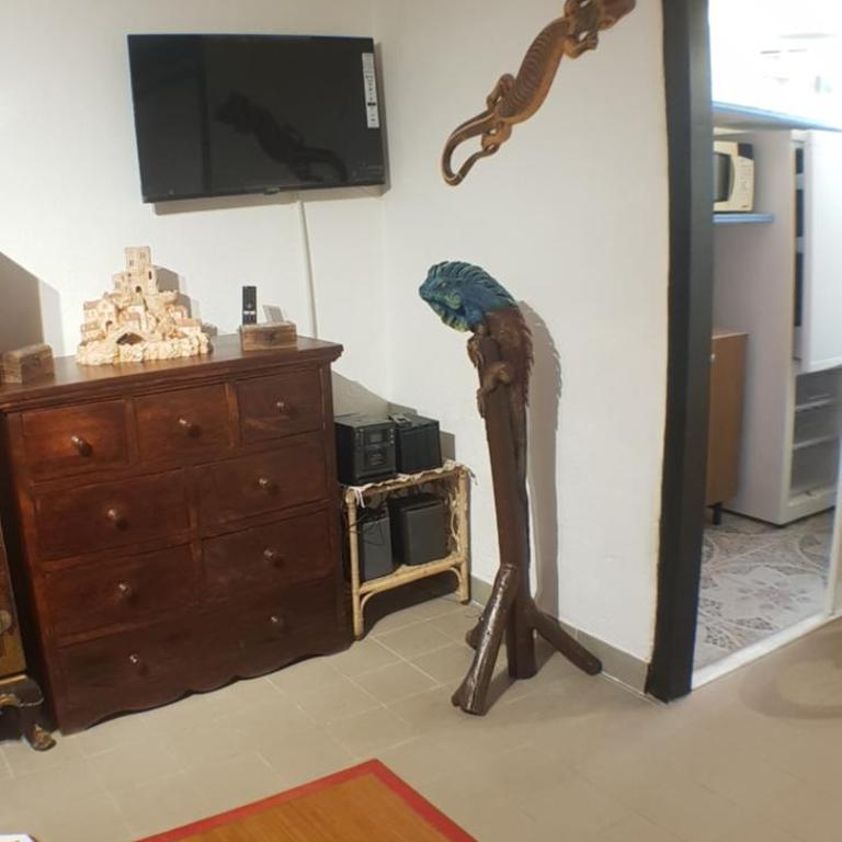 Studio location saisonnière de avril à fin octobre - Appartement 1 Chambre - 3
