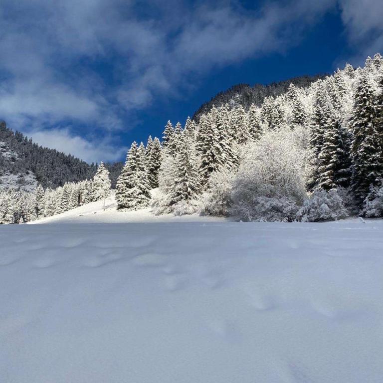 Parking plus terrasse pour 4 personnes au ski - Apartment mit 1 Schlafzimmer - 14