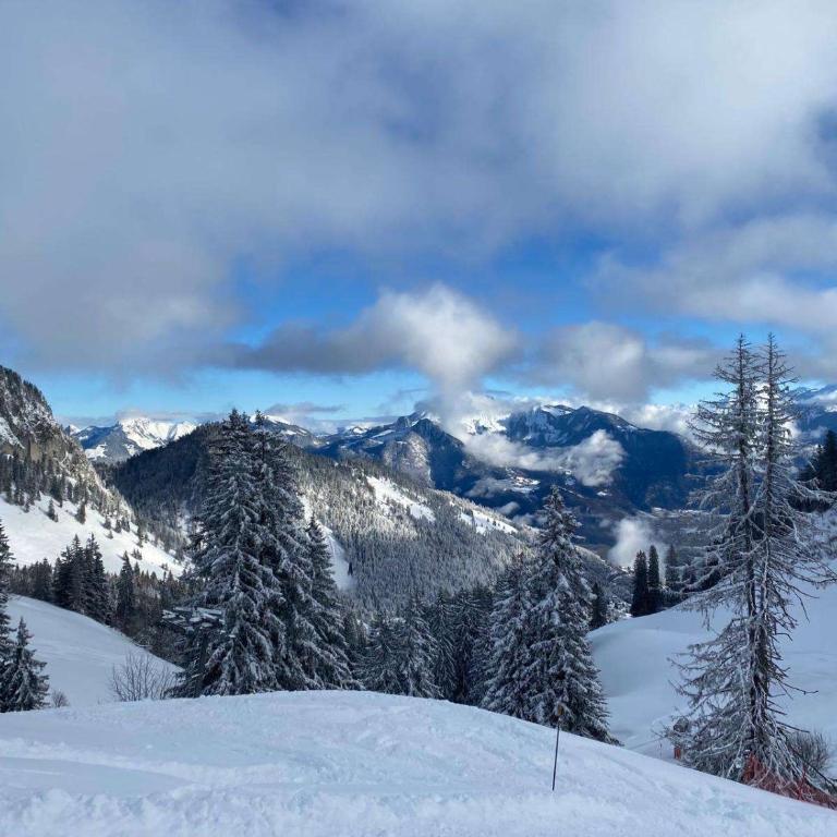 Parking plus terrasse pour 4 personnes au ski - Apartment mit 1 Schlafzimmer - 19